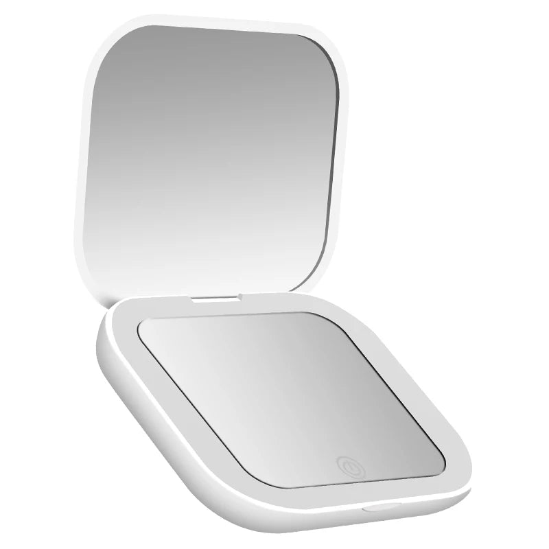 THE CHECK-IN MIRROR
